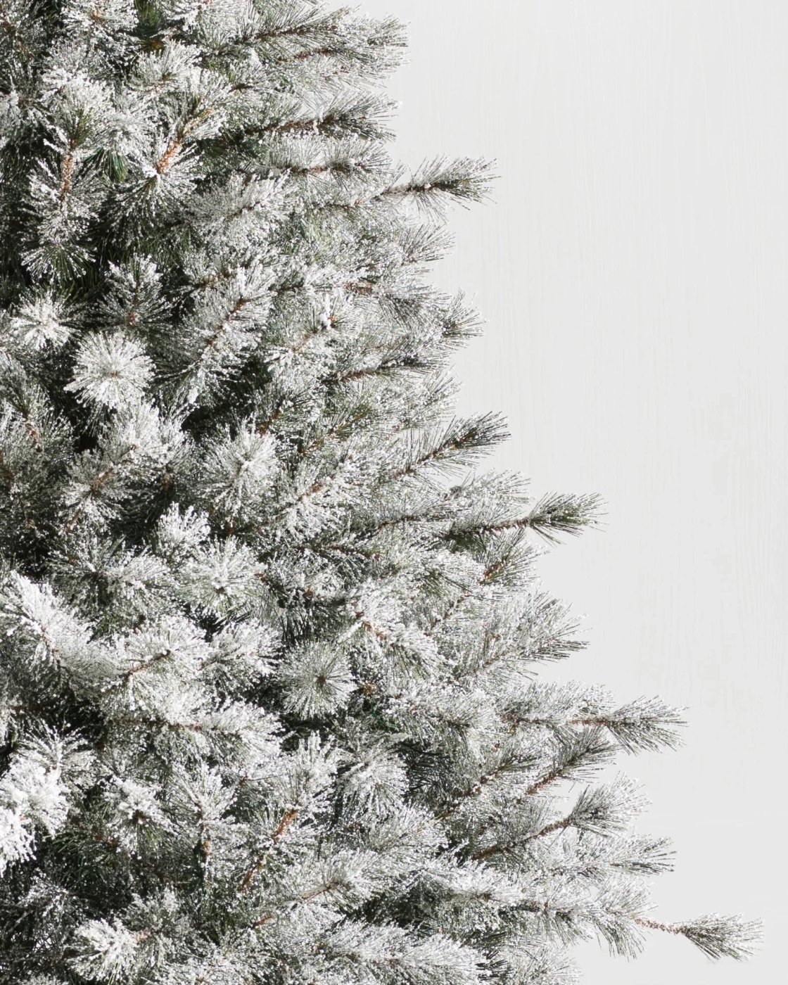Árvore de Natal Pinheiro Açucarado Nevado