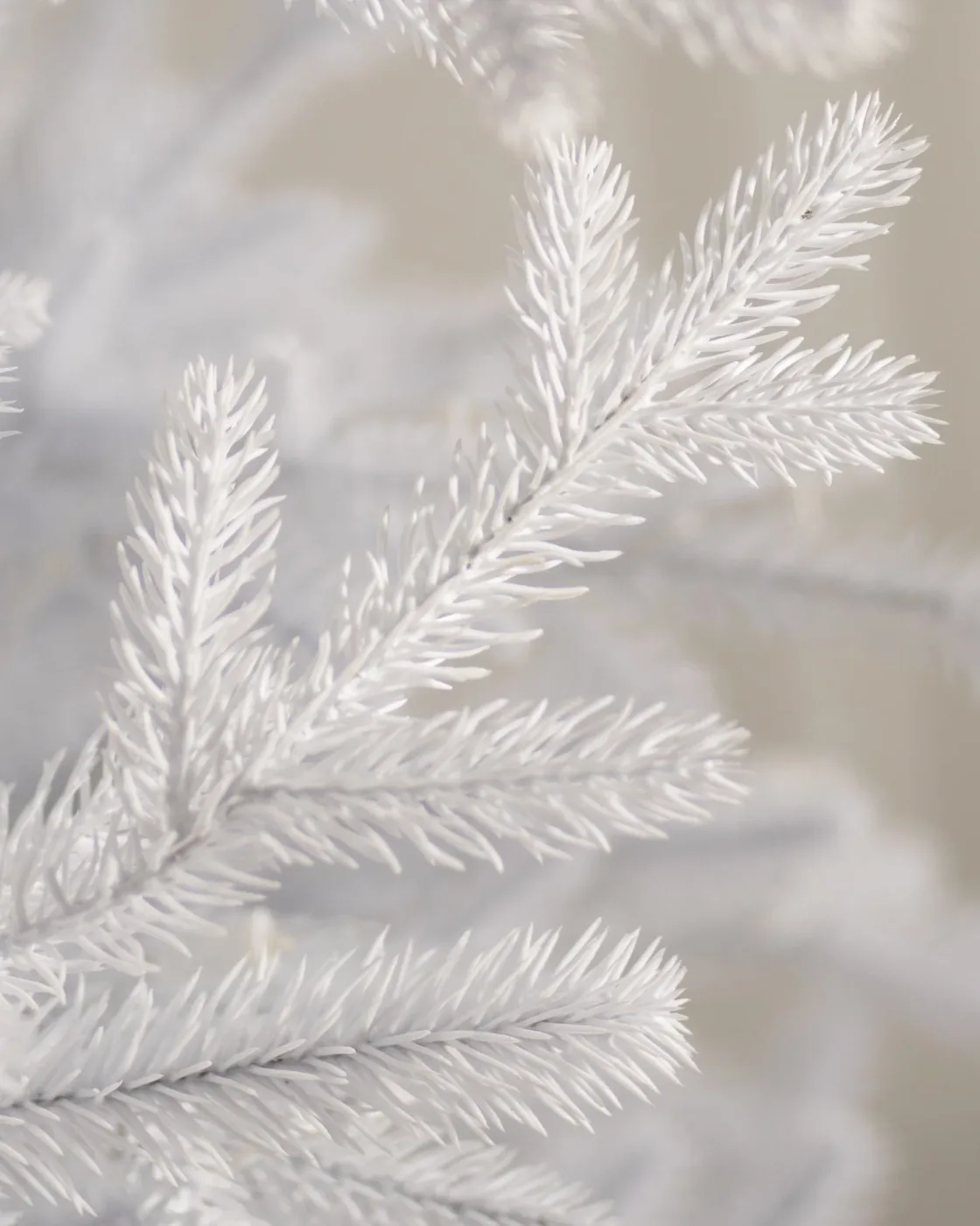Árvore de Natal Pinheiro Branco Denali