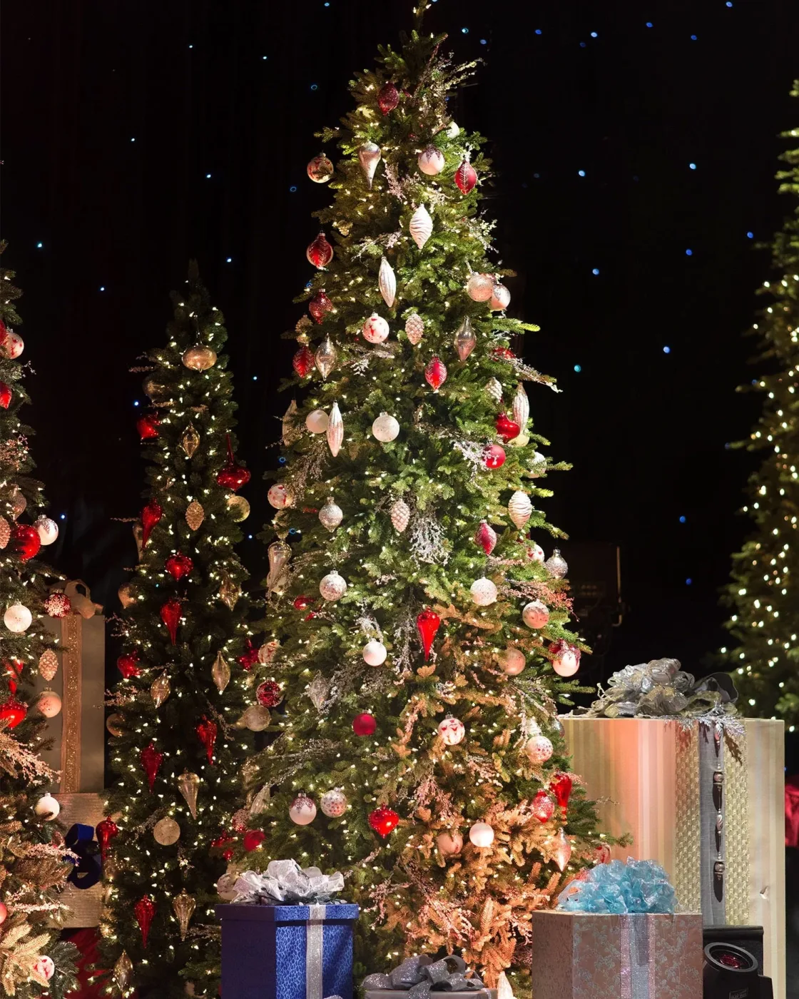 Árvore de Natal Pinheiro Bosque Slim