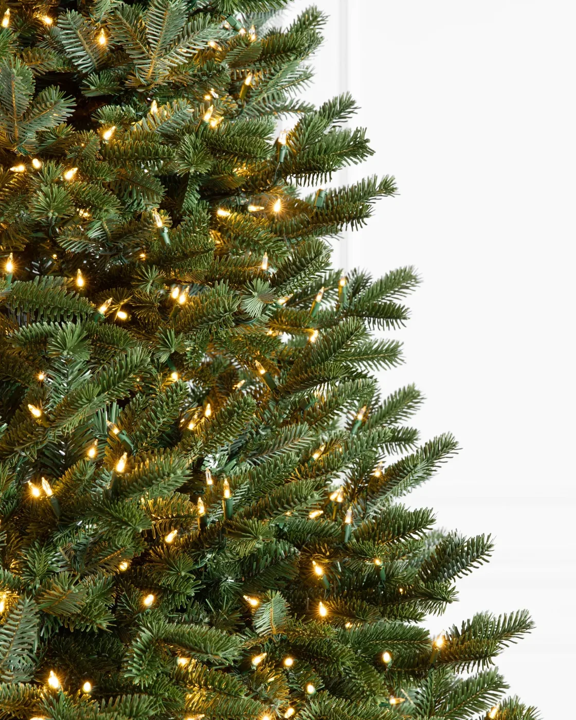 Árvore de Natal Abeto Fraser Imperial